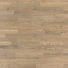 OAK URANIUM OILED